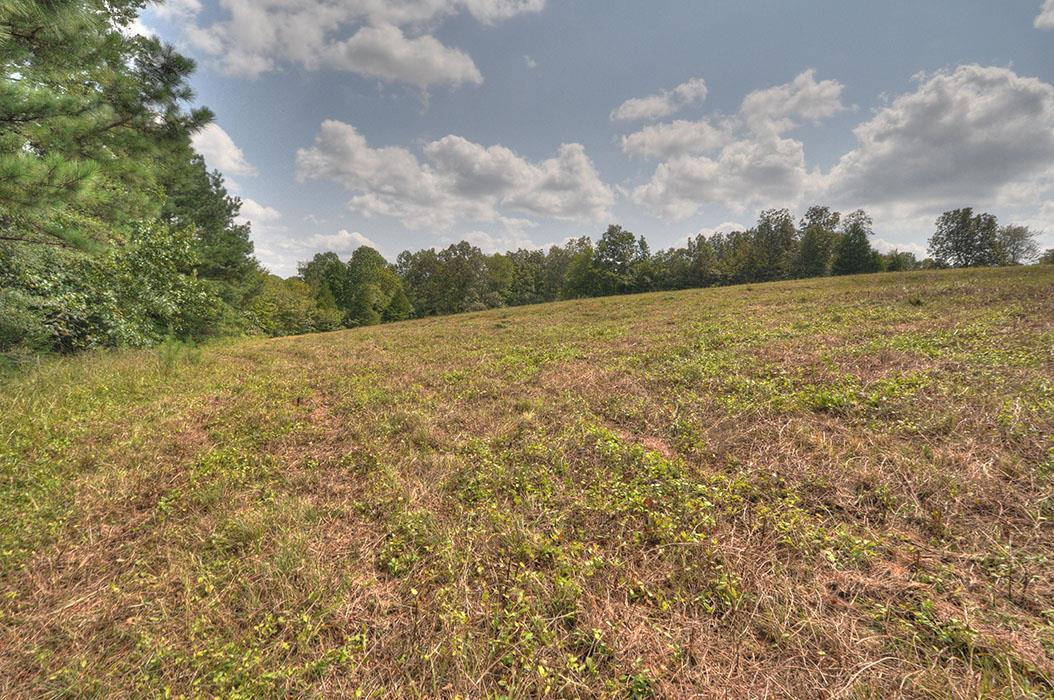 0 Clifton Scott Road Primm Springs, TN 38476 - Photo 25 of 28 Gallery Image 25