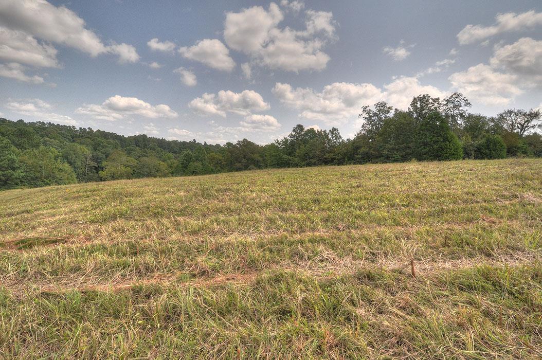 0 Clifton Scott Road Primm Springs, TN 38476 - Photo 27 of 28 Gallery Image 27