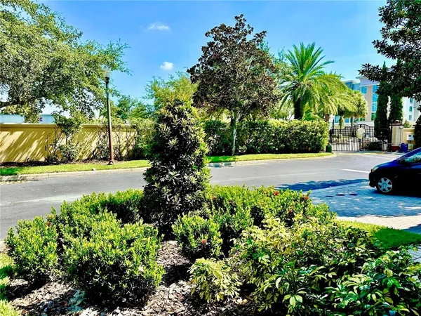 a view of a yard with plants and trees