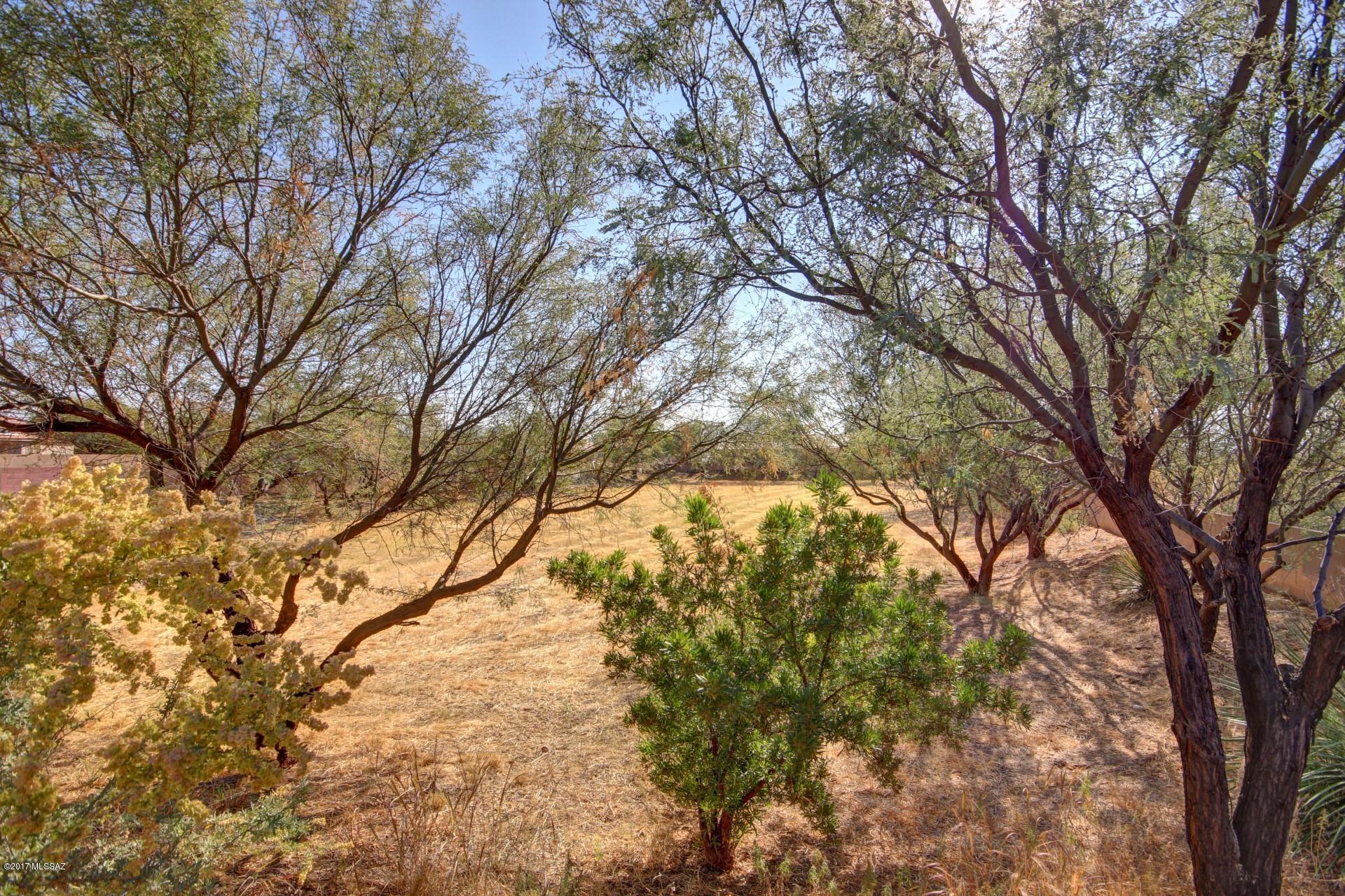 6397 West Sandpaper Tree Way Tucson, AZ 85757 - Photo 26 of 28