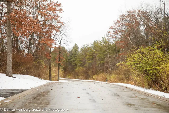 a view of the backyard of the house