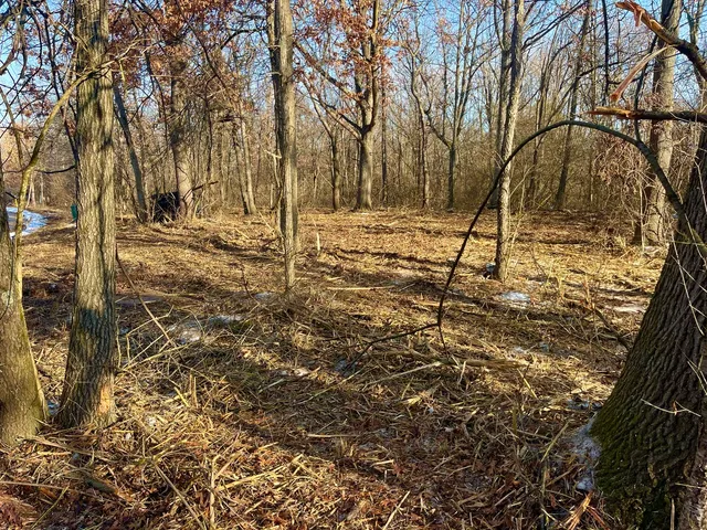 a view of yard covered with snow