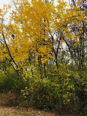 $53,900 | 911 Echo (lot 5) Trail, Marengo, IL 60152