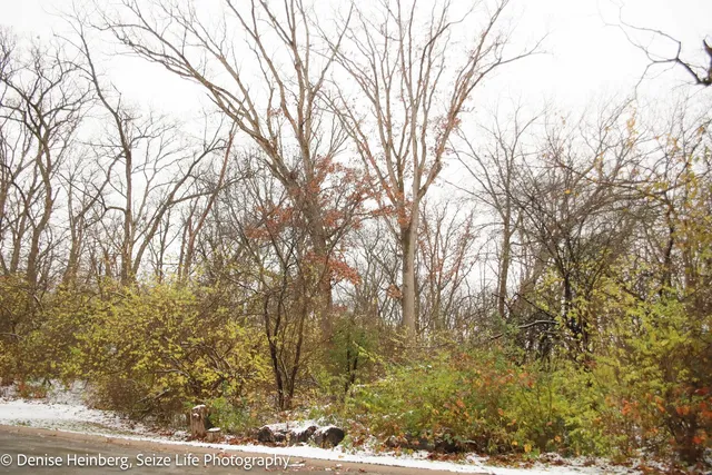 a backyard of a house