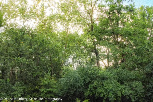 $53,900 | 911 Echo (lot 5) Trail, Marengo, IL 60152