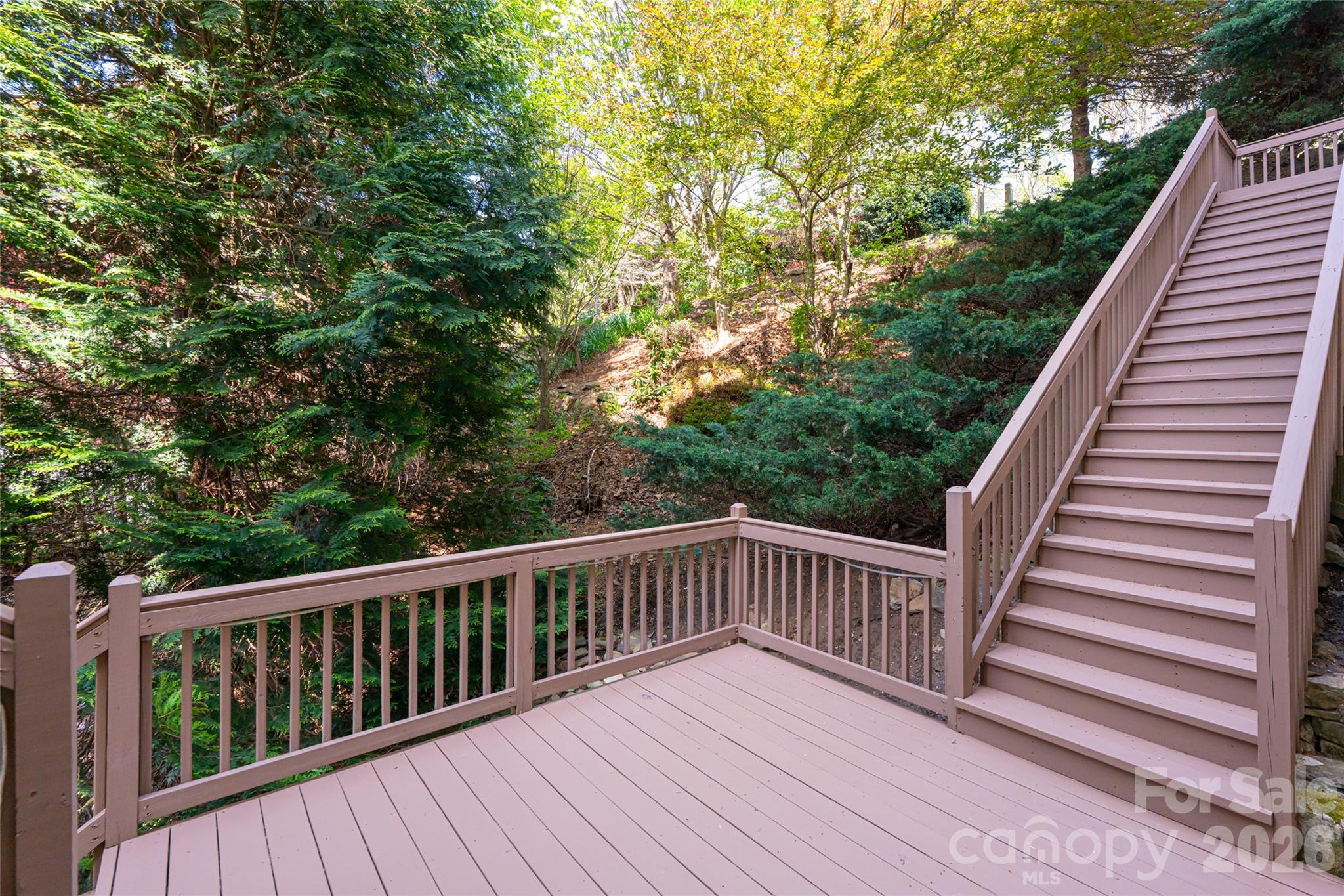 116 Dalya Road Swannanoa, NC 28778 - Photo 36 of 47