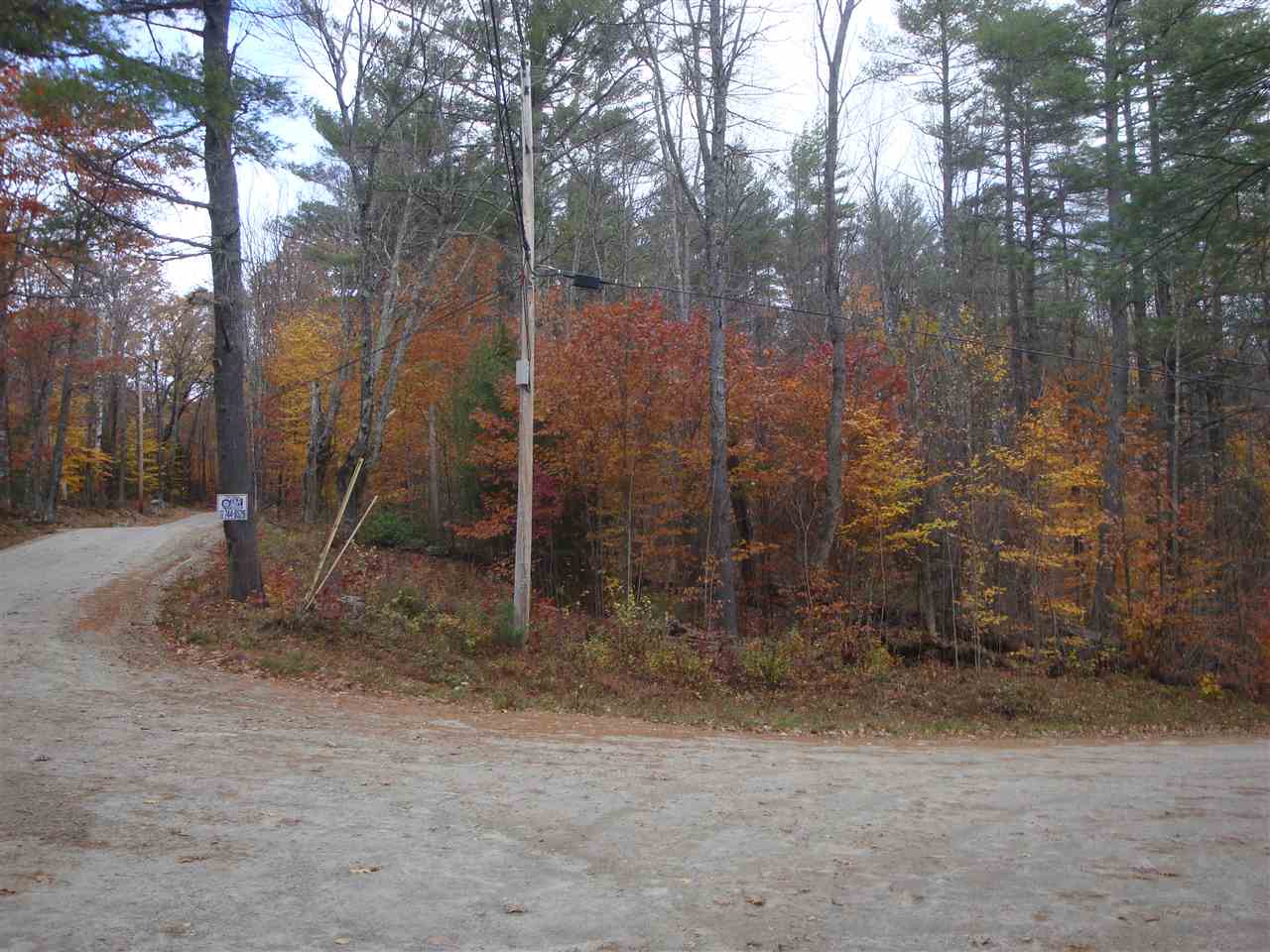 0 Brad Chase Road Danbury, NH 03230 - Photo 1 of 5 Gallery Image 1