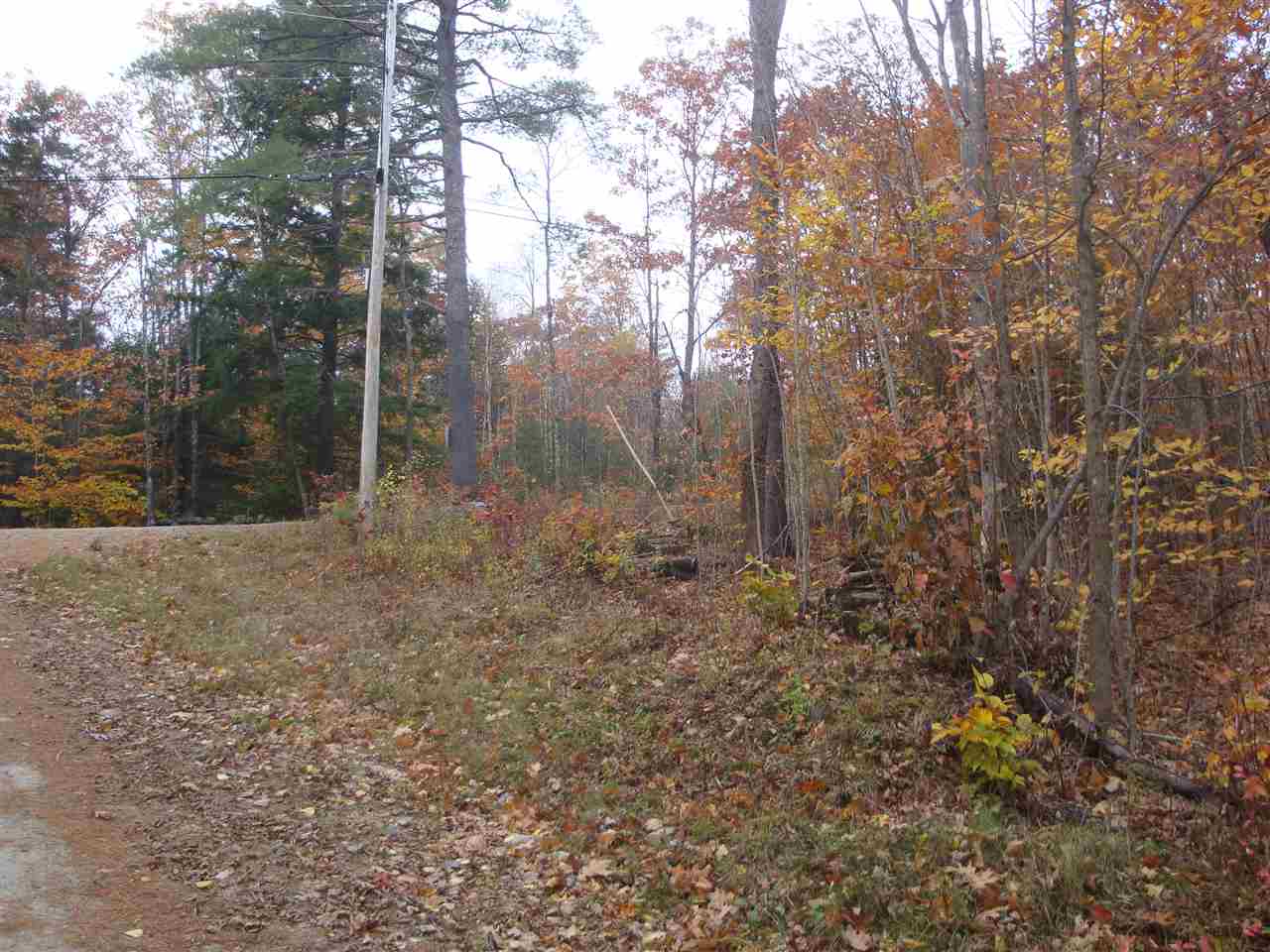 0 Brad Chase Road Danbury, NH 03230 - Photo 3 of 5 Gallery Image 3