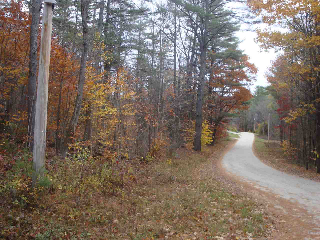 0 Brad Chase Road Danbury, NH 03230 - Photo 4 of 5 Gallery Image 4