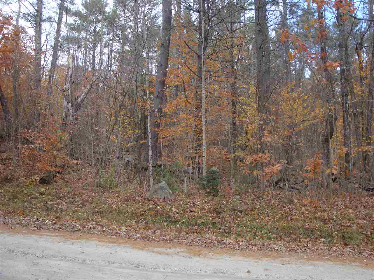 0 Brad Chase Road Danbury, NH 03230 - Photo 5 of 5 Gallery Image 5