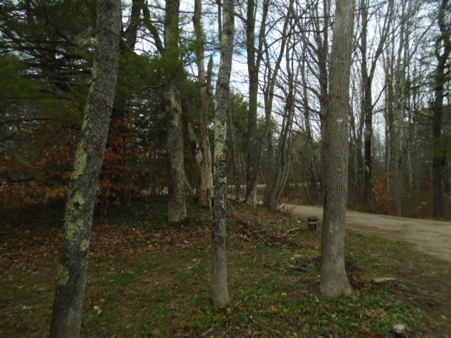 19 Gardiner Road Dresden, ME 04342 - Photo 23 of 32 yard