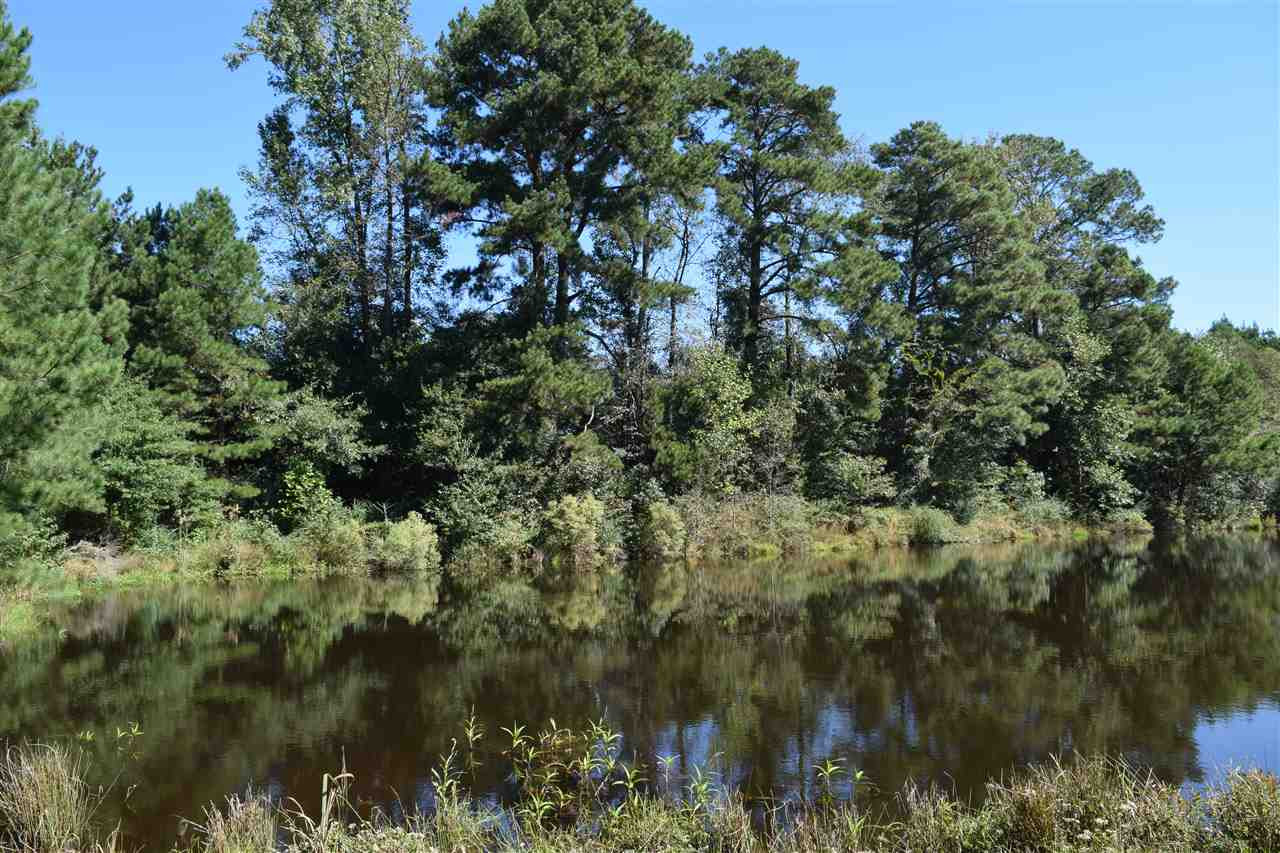 1 Old Forest Road Pulaski, MS 39152 - Photo 11 of 28 Photo 11