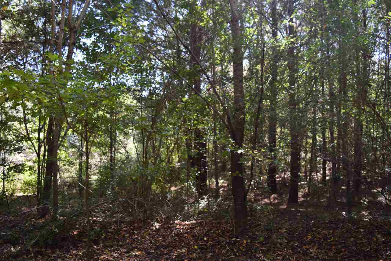 1 Old Forest Road Pulaski, MS 39152 - Photo 12 of 28 Photo 12
