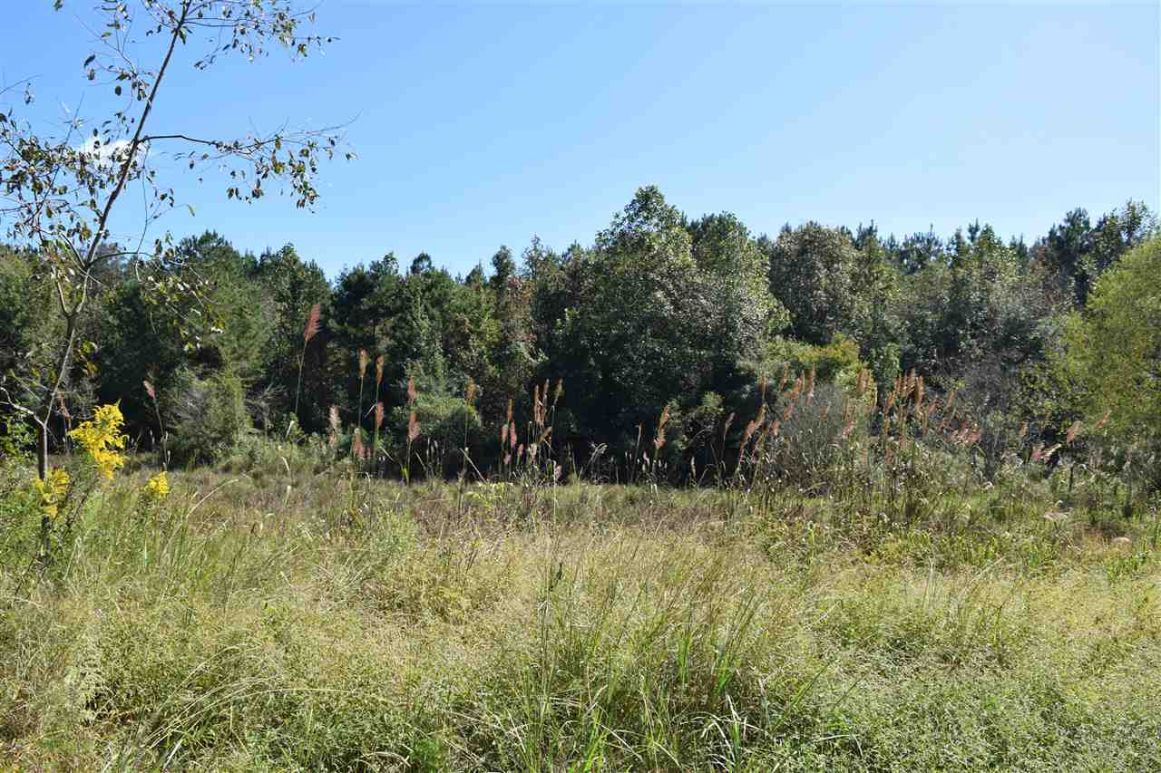 1 Old Forest Road Pulaski, MS 39152 - Photo 13 of 28 Photo 13