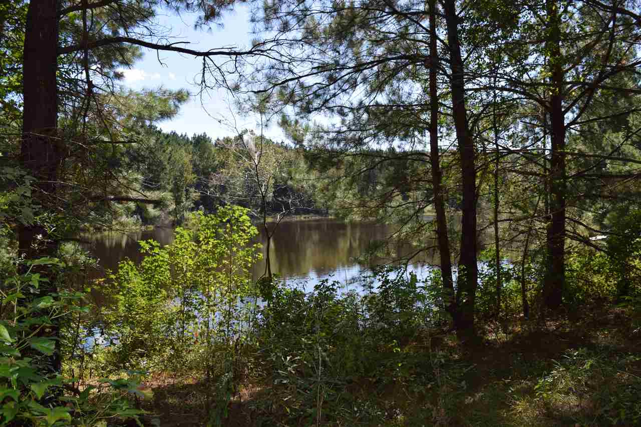 1 Old Forest Road Pulaski, MS 39152 - Photo 14 of 28 Photo 14