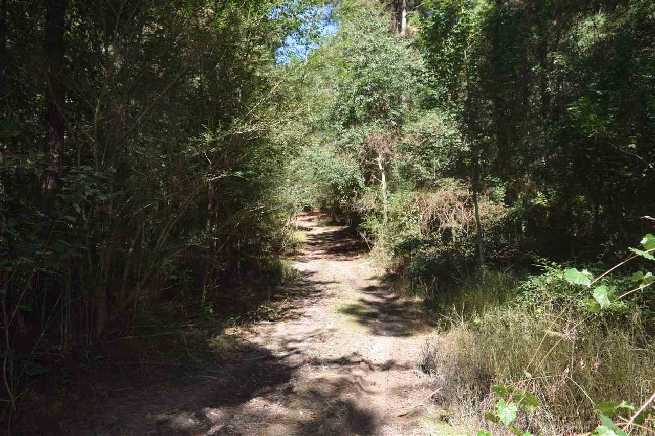 1 Old Forest Road Pulaski, MS 39152 - Photo 15 of 28 Photo 15
