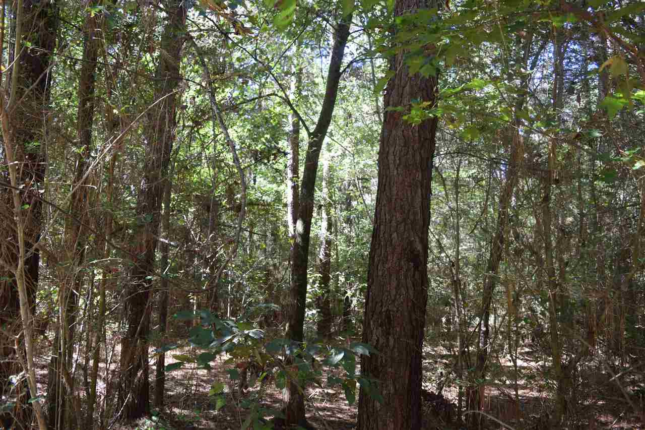 1 Old Forest Road Pulaski, MS 39152 - Photo 16 of 28 Photo 16