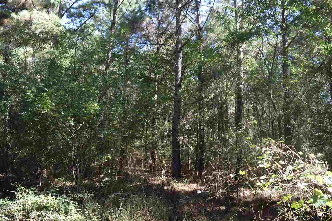 1 Old Forest Road Pulaski, MS 39152 - Photo 17 of 28 Photo 17