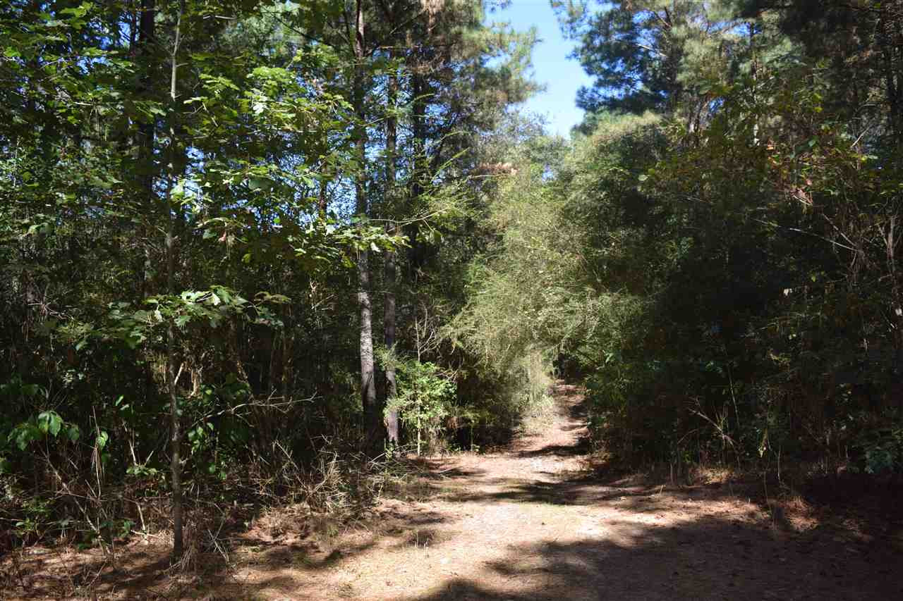 1 Old Forest Road Pulaski, MS 39152 - Photo 18 of 28 Photo 18