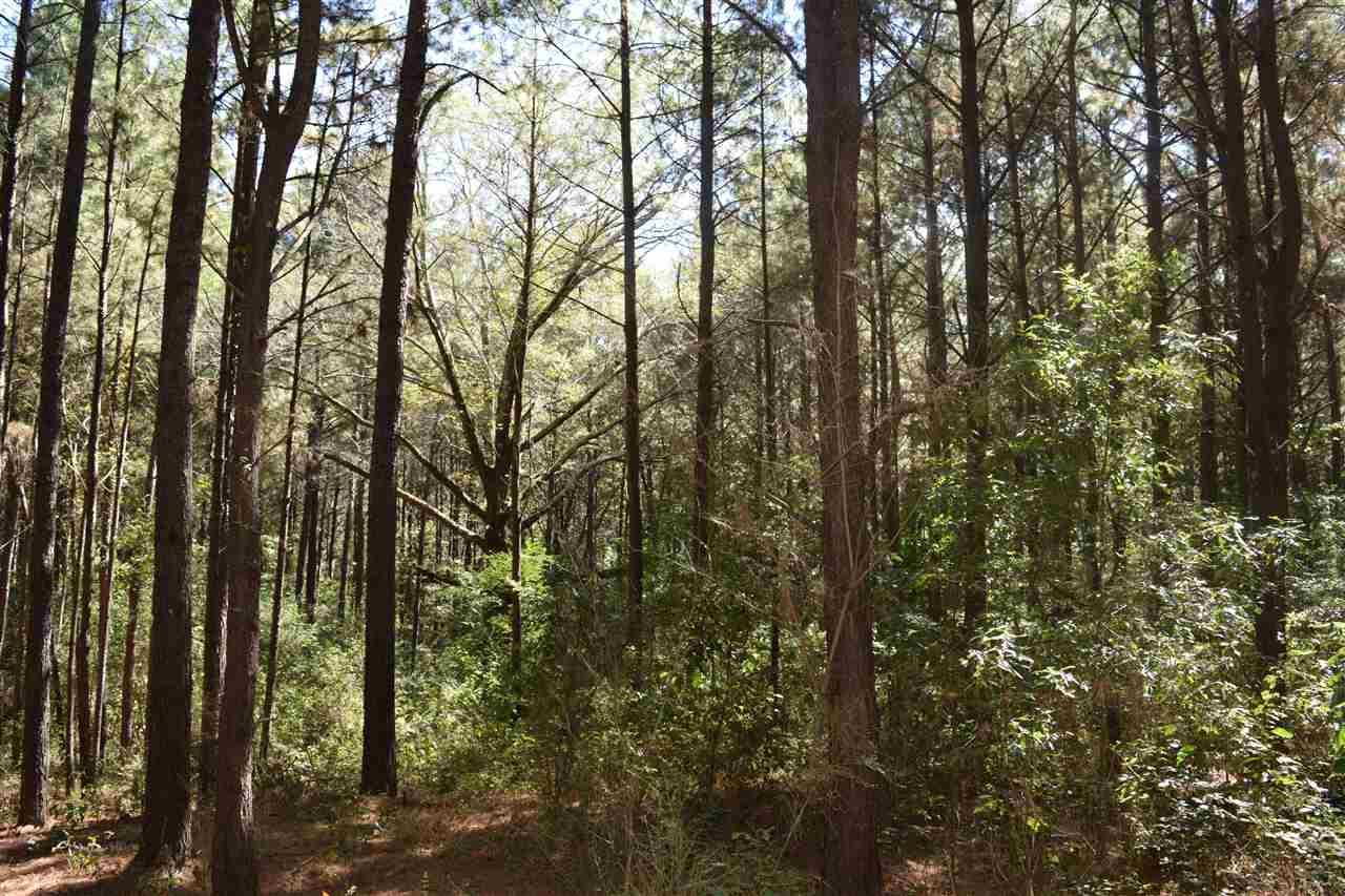1 Old Forest Road Pulaski, MS 39152 - Photo 20 of 28 Photo 20