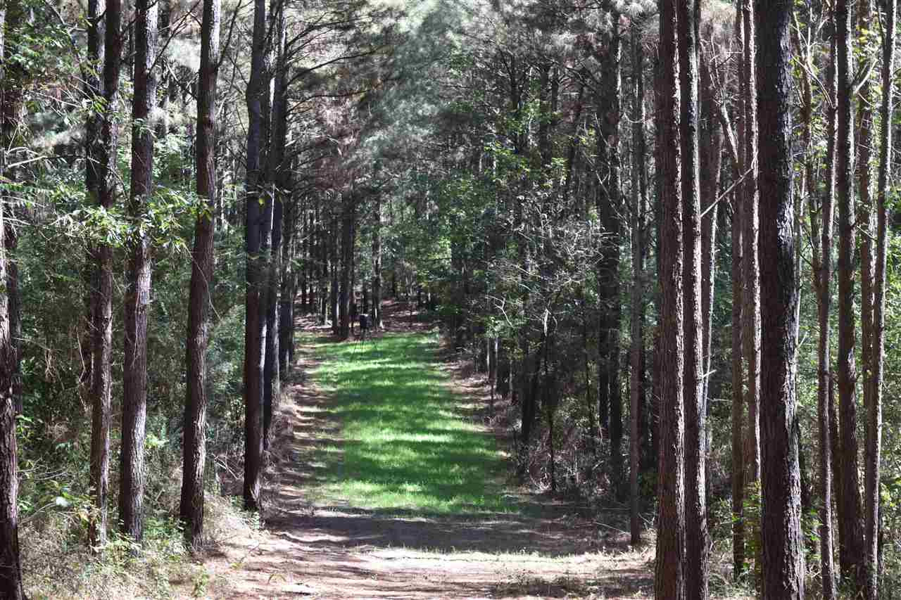 1 Old Forest Road Pulaski, MS 39152 - Photo 21 of 28 Photo 21