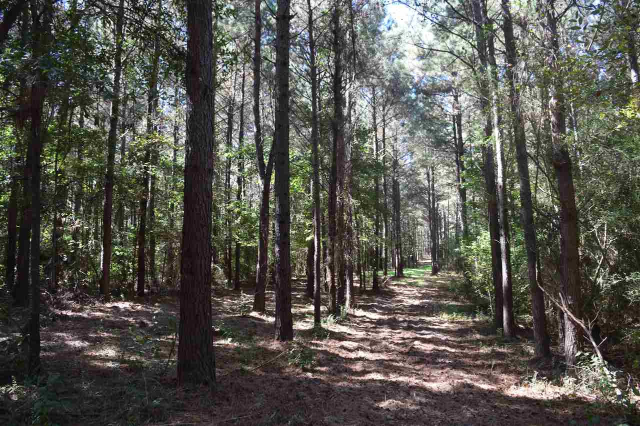 1 Old Forest Road Pulaski, MS 39152 - Photo 22 of 28 Photo 22