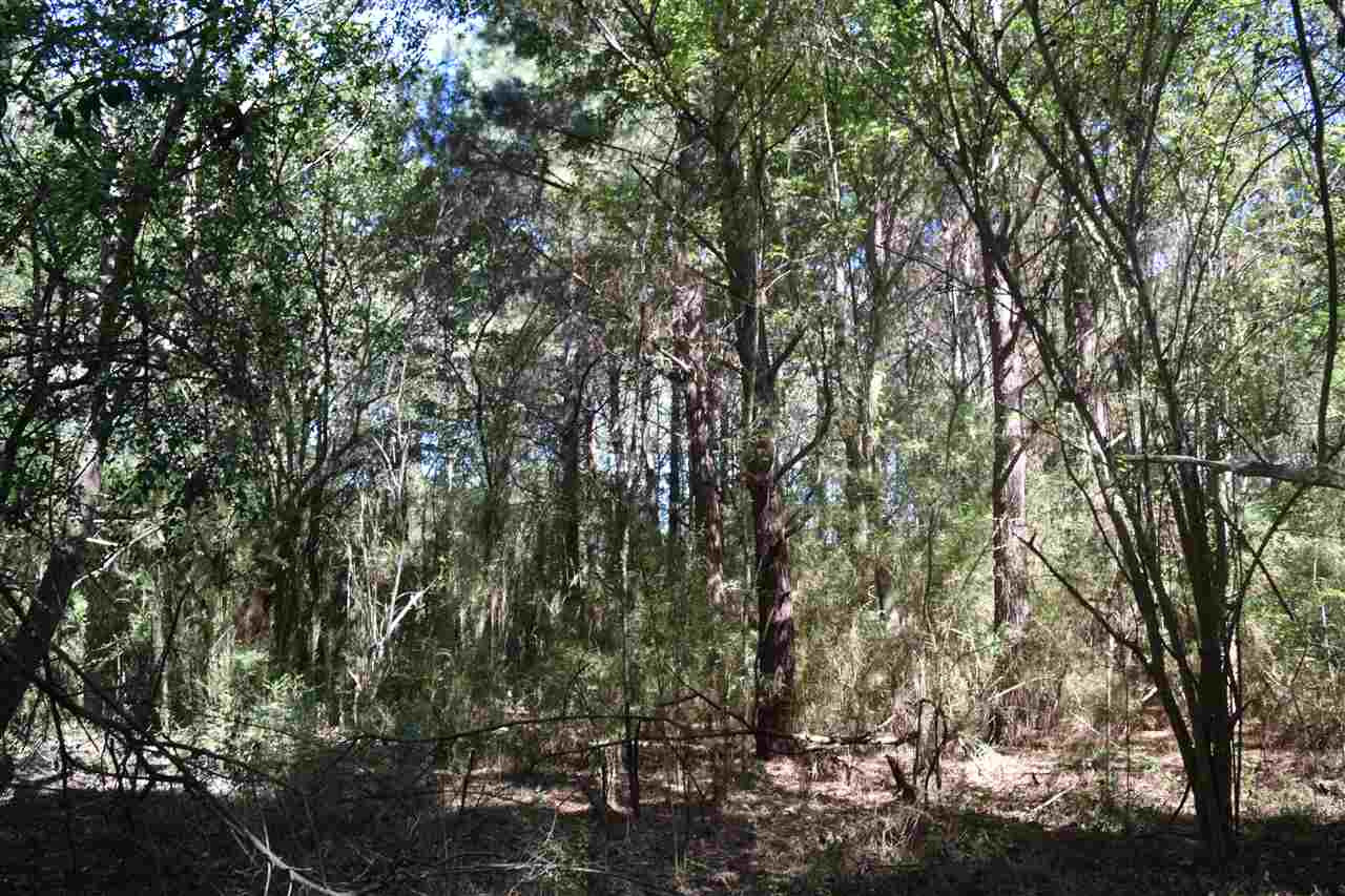 1 Old Forest Road Pulaski, MS 39152 - Photo 23 of 28 Photo 23