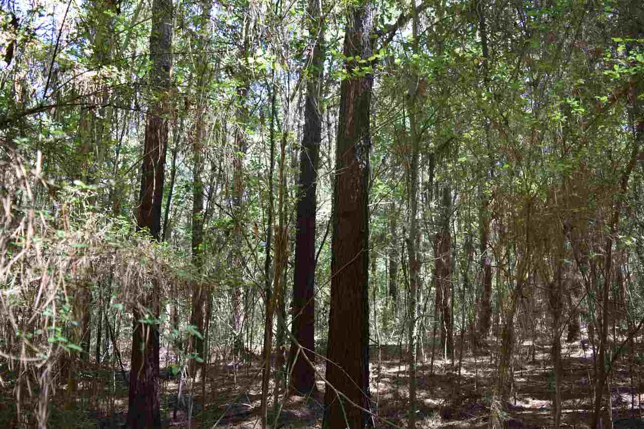 1 Old Forest Road Pulaski, MS 39152 - Photo 24 of 28 Photo 24
