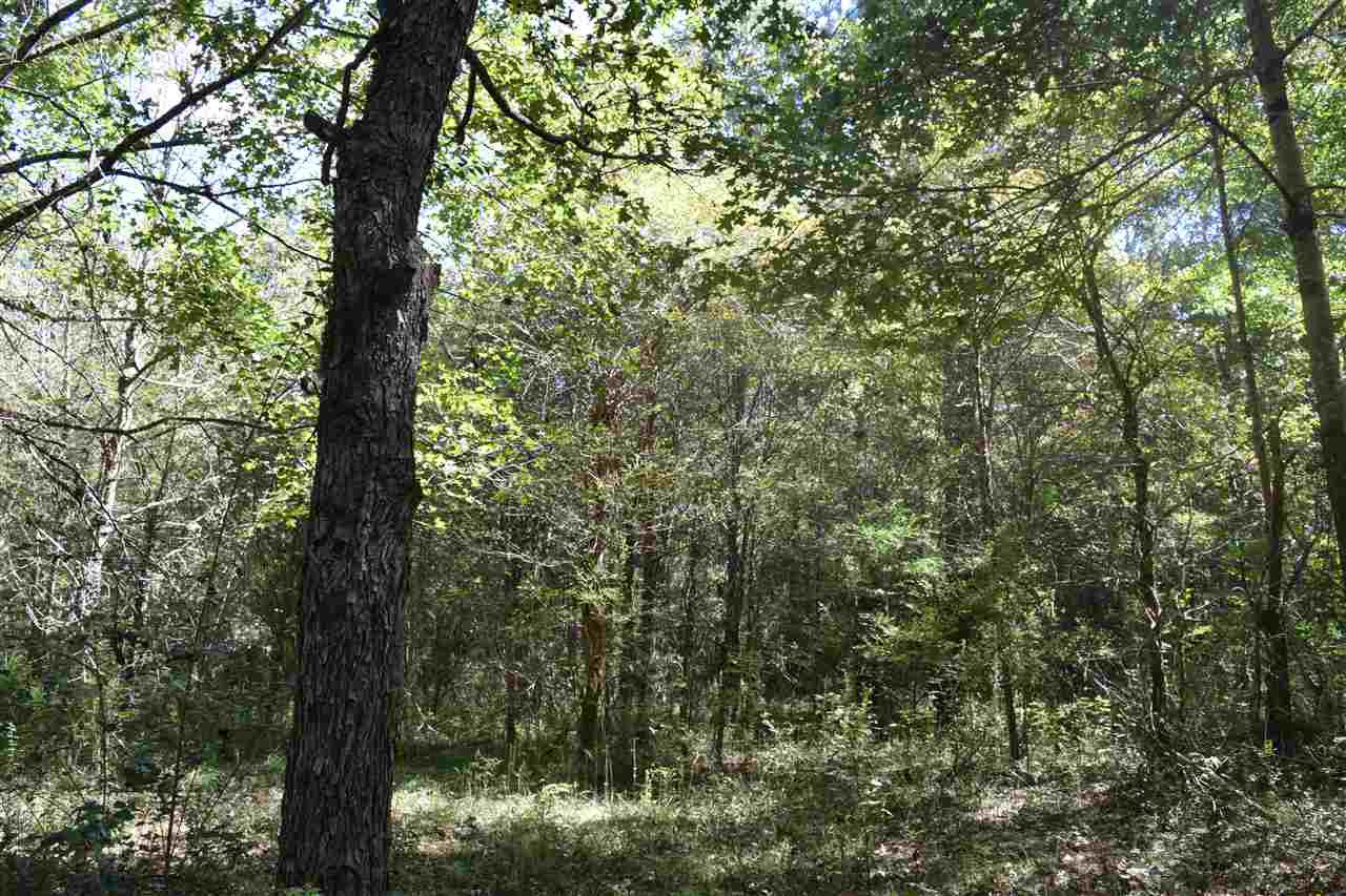 1 Old Forest Road Pulaski, MS 39152 - Photo 25 of 28 Photo 25
