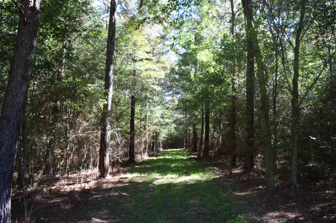 1 Old Forest Road Pulaski, MS 39152 - Photo 26 of 28 Photo 26