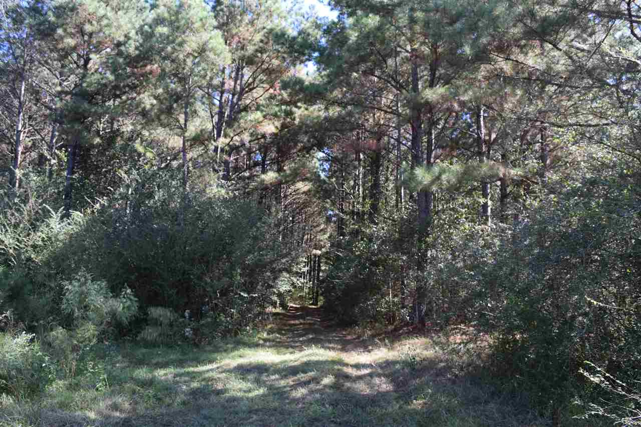 1 Old Forest Road Pulaski, MS 39152 - Photo 3 of 28 Photo 3