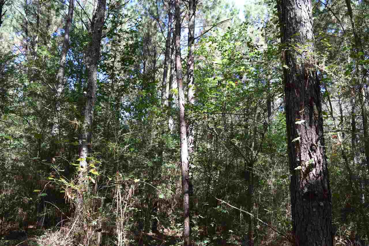 1 Old Forest Road Pulaski, MS 39152 - Photo 5 of 28 Photo 5