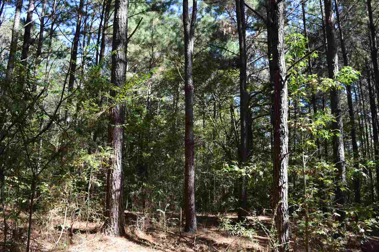 1 Old Forest Road Pulaski, MS 39152 - Photo 6 of 28 Photo 6