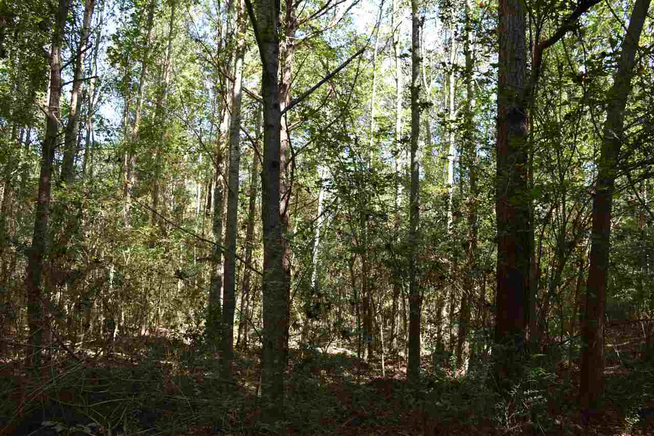 1 Old Forest Road Pulaski, MS 39152 - Photo 7 of 28 Photo 7