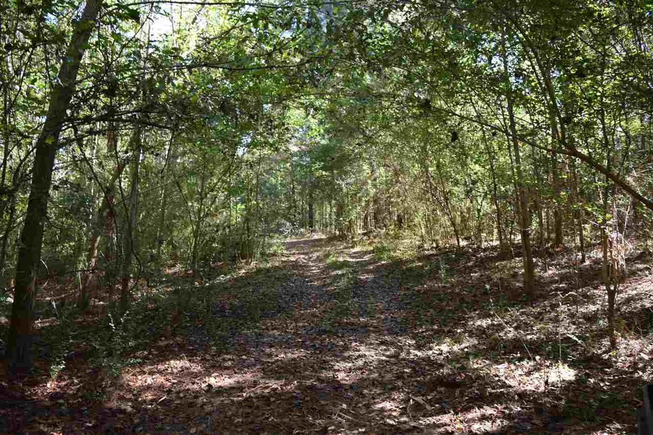 1 Old Forest Road Pulaski, MS 39152 - Photo 8 of 28 Photo 8