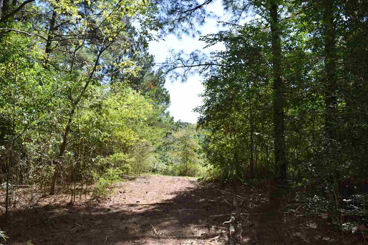 1 Old Forest Road Pulaski, MS 39152 - Photo 9 of 28 Photo 9