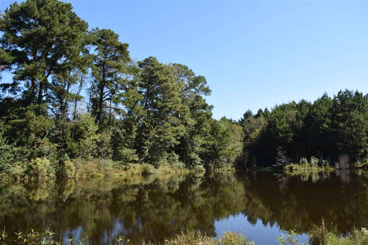 1 Old Forest Road Pulaski, MS 39152 - Photo 10 of 28 Photo 10