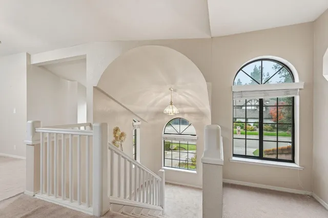 a view of a park with palm trees