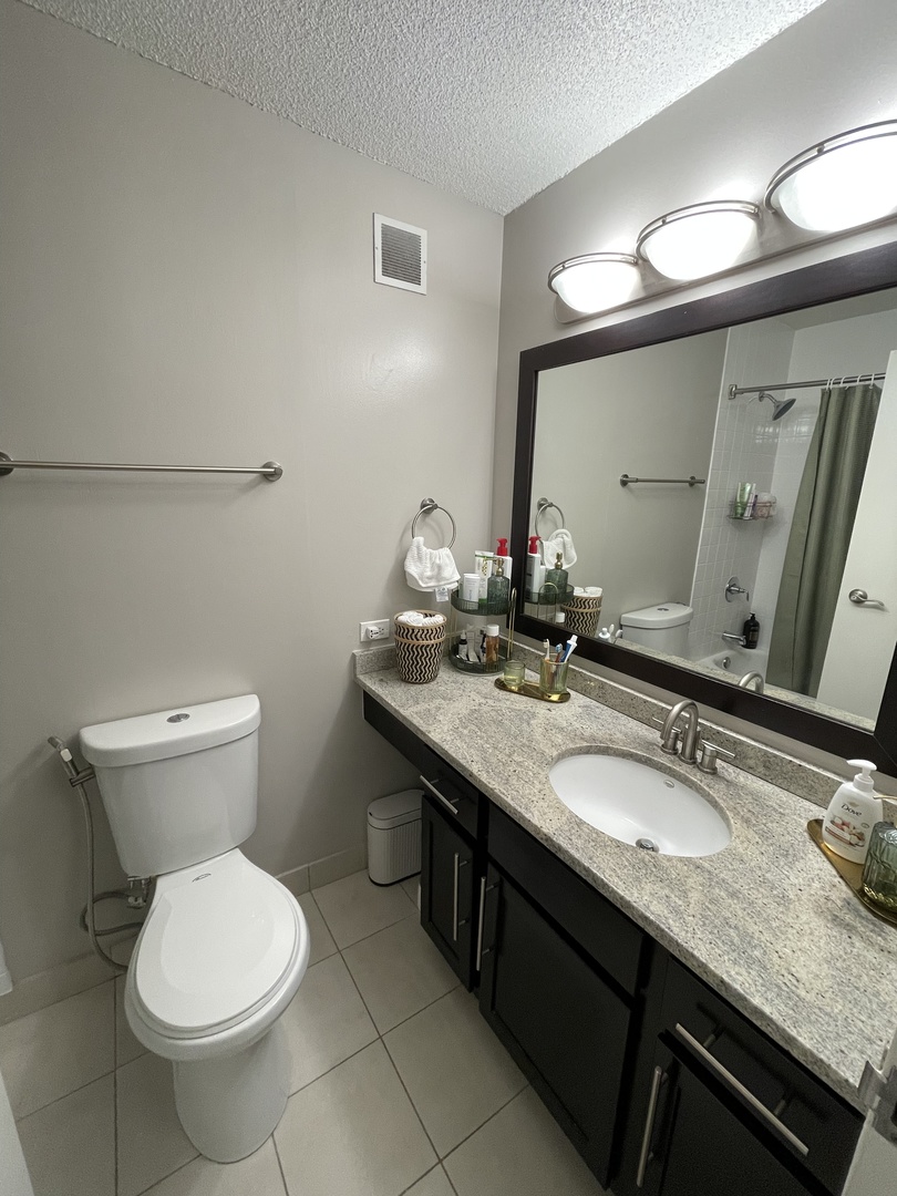 77 West Huron Street, Unit 1803 Chicago, IL 60654 - Photo 10 of 22 a bathroom with a granite countertop toilet a sink and a mirror
