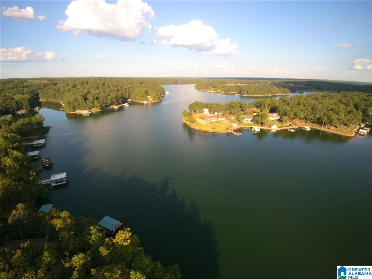 3291 County Road Wedowee, AL 36278 - Photo 2 of 7