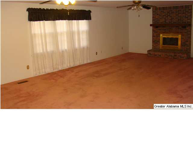 167 13th Street Southwest Alabaster, AL 35007 - Photo 3 of 24