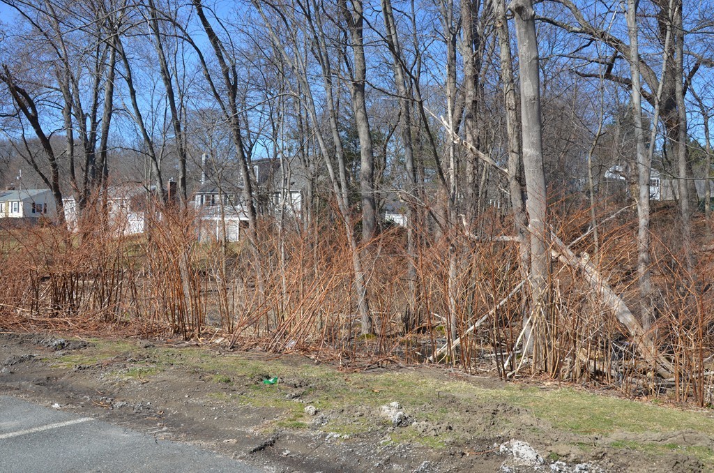 83 R Hobart Street, Unit A1 Danvers, MA 01923 - Photo 16 of 16 Gallery Image 16