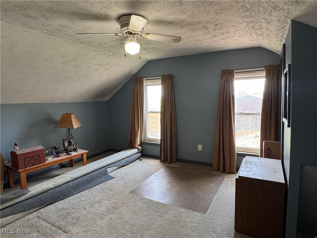 10097 March Road Northeast East Rochester, OH 44625 - Photo 11 of 34 Bonus room featuring lofted ceiling, a textured ceiling, carpet flooring, and a ceiling fan