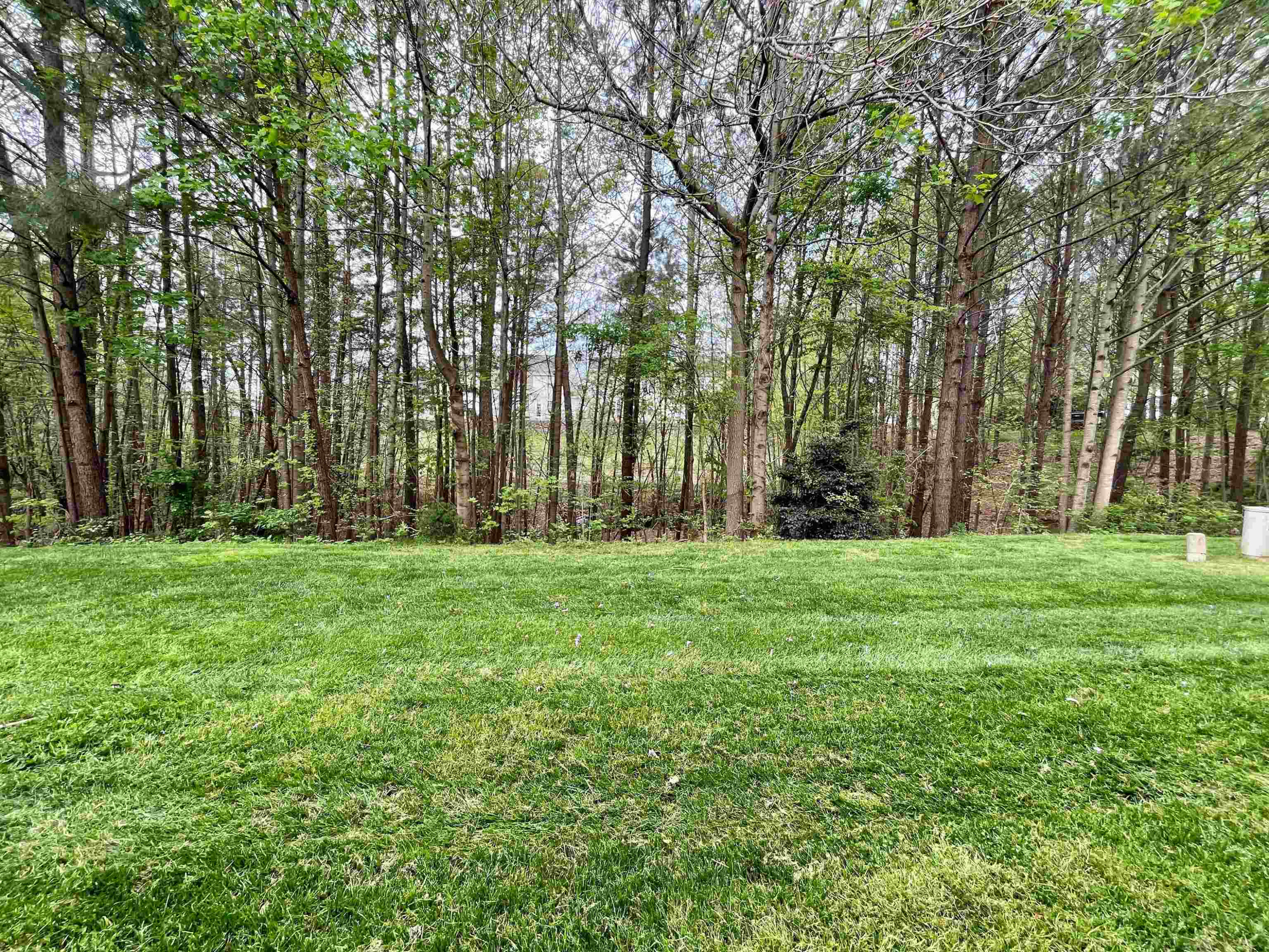 8467 Reedy Ridge Lane Raleigh, NC 27613 - Photo 3 of 46 Photo 3