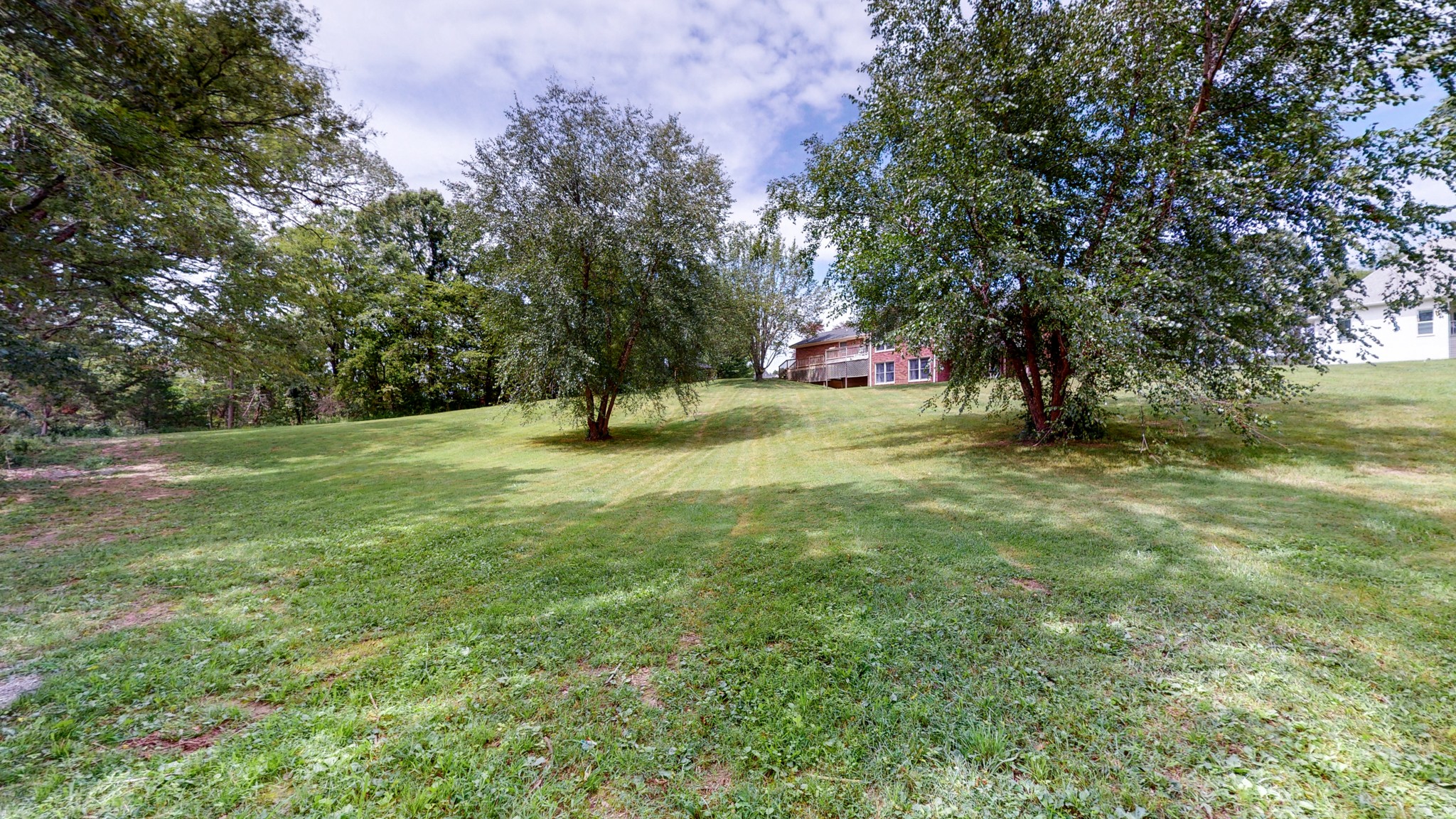 211 Old Horn Springs Road Lebanon, TN 37087 - Photo 34 of 43 a fire hydrant in the middle of a field