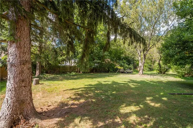 a view of a yard with trees