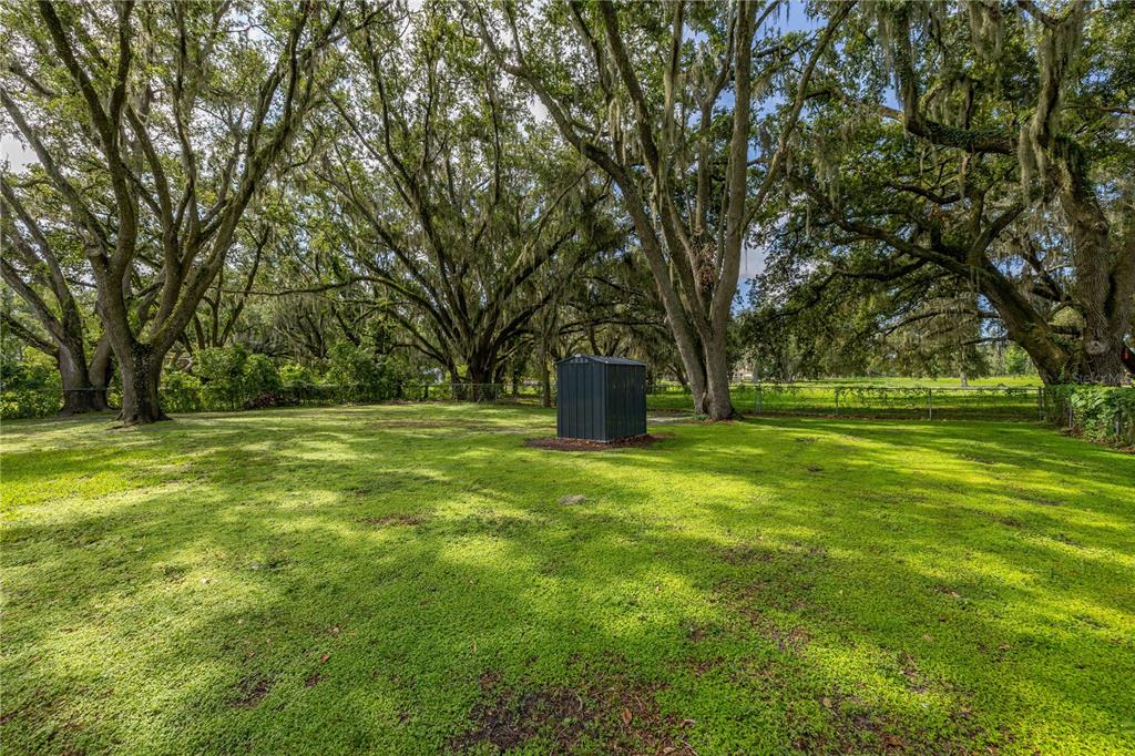 4401 West Sam Allen Road Plant City, FL 33565 - Photo 61 of 71 Gallery Image 61