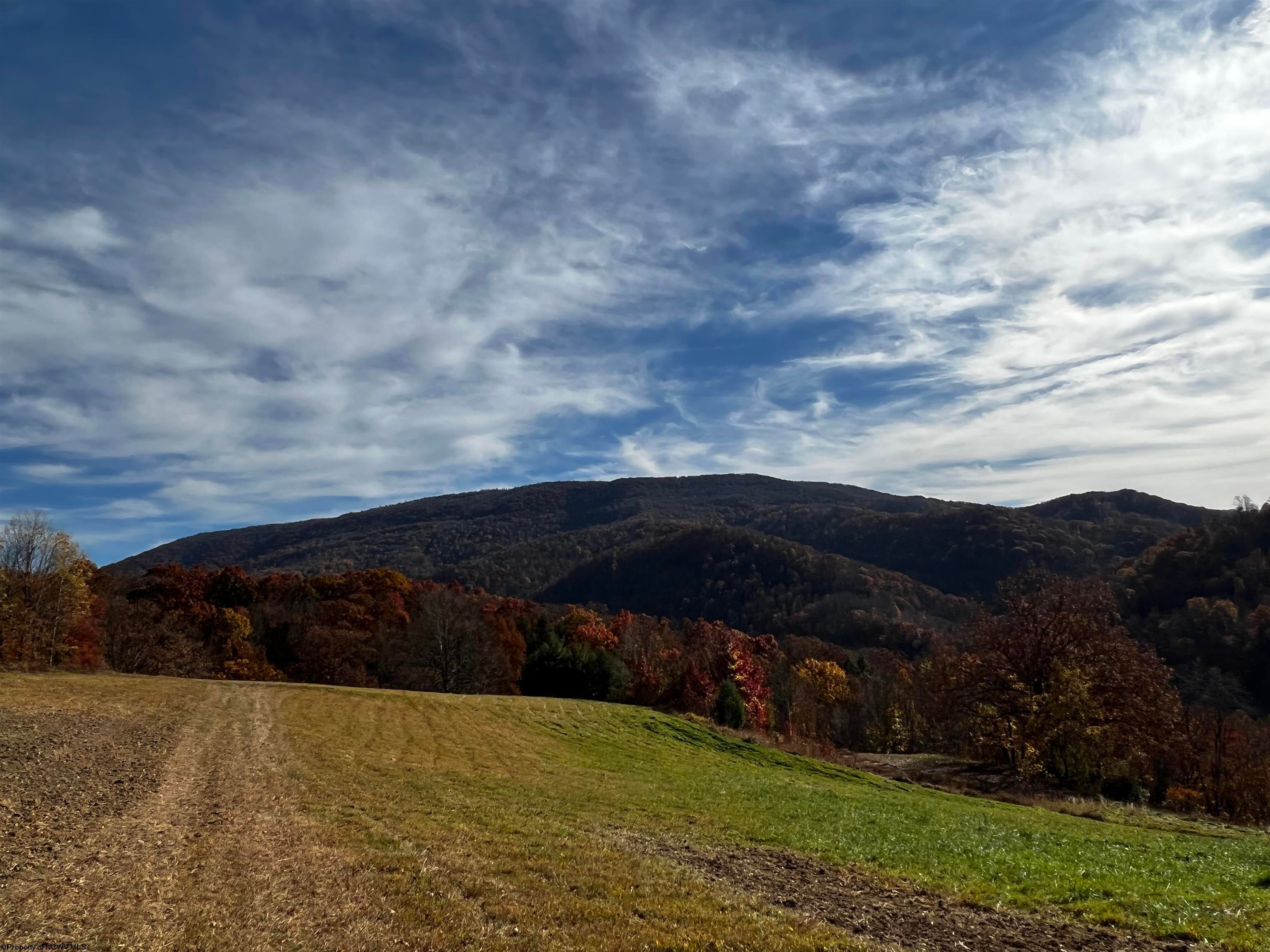 2878 Mackeyville Road Hambleton, WV 26269 - Photo 1 of 14 Gallery Image 1