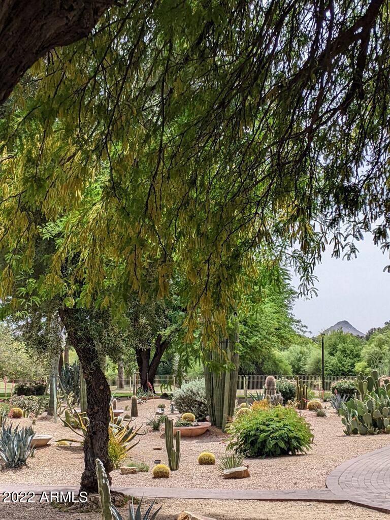 4303 East Cactus Road, Unit 207 Phoenix, AZ 85032 - Photo 30 of 35 E056BC1E-2293-4E32-8DB7-D248B4DFE5E0