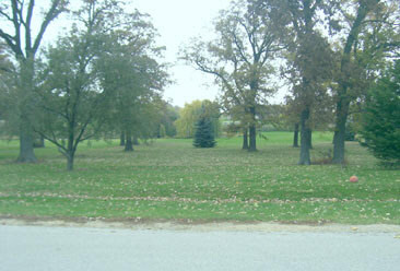 0 Hickory Ridge, Unit 10 Rochelle, IL 61068 - Photo 1 of 1 a view of outdoor space with green field and trees